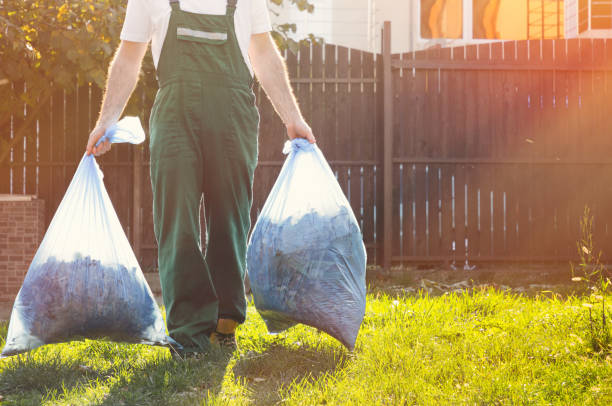 Best Electronics and E-Waste Disposal  in Cloquet, MN